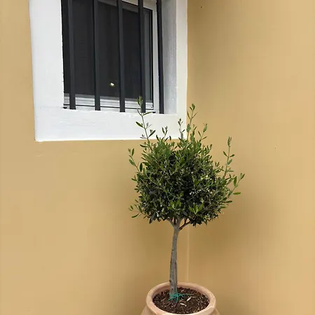 Taya Stone Loft Apartmán *